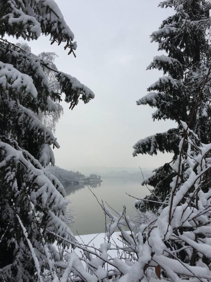 Willa Z Sauna Nad Jeziorem 61 Żywiec Buitenkant foto